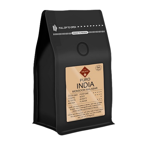 India Monsoon Malabar