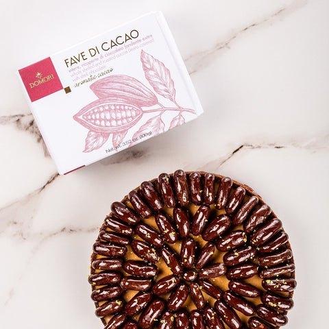 Chocolate coated cocoa beans